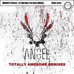 ISR DIGI 034 Angel - Totally Awesome Remixes