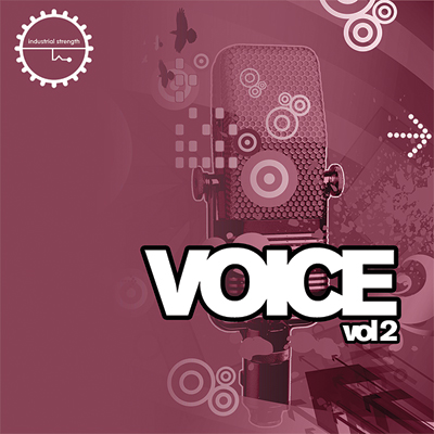 Voice 2